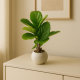 Artificial Plant